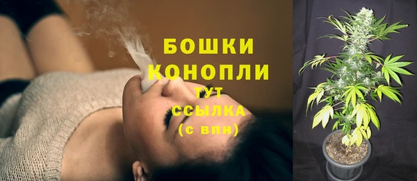 мдпв Россошь