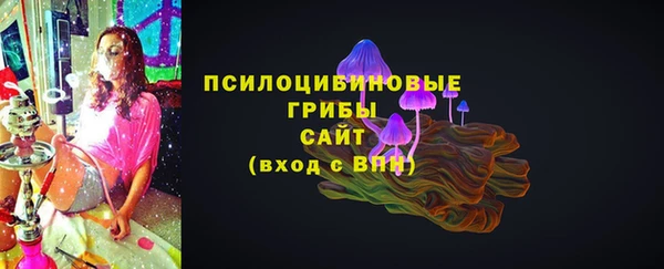 индика Алексеевка