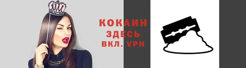 дживик Алзамай