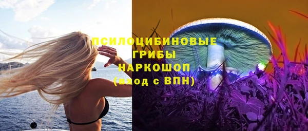 дживик Алзамай