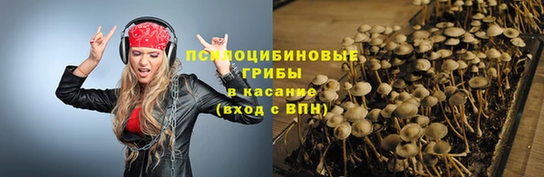 2c-b Рославль