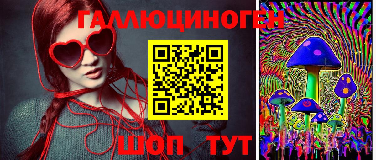 Псилоцибиновые грибы GOLDEN TEACHER Кореновск