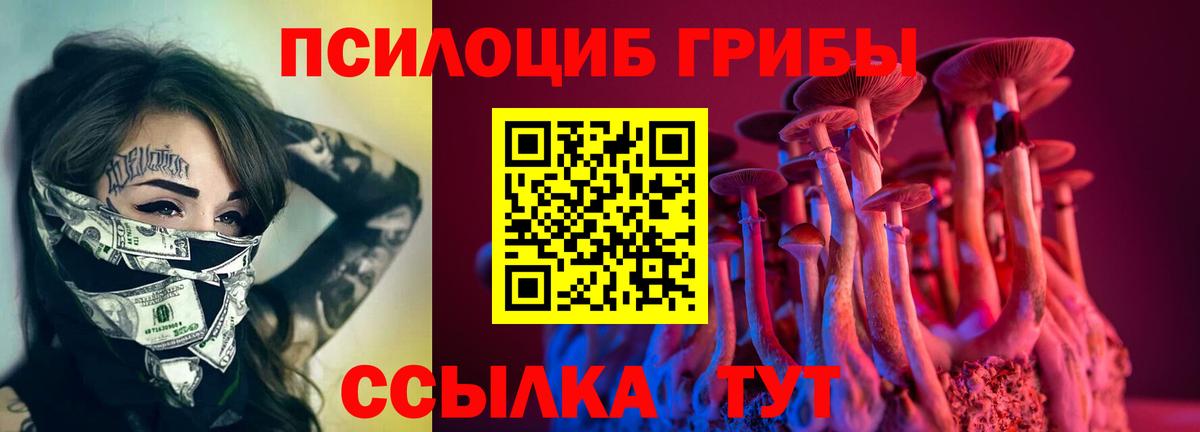 Псилоцибиновые грибы GOLDEN TEACHER  Вход с VPN  Кореновск  Галлюциногенные грибы мухоморы 